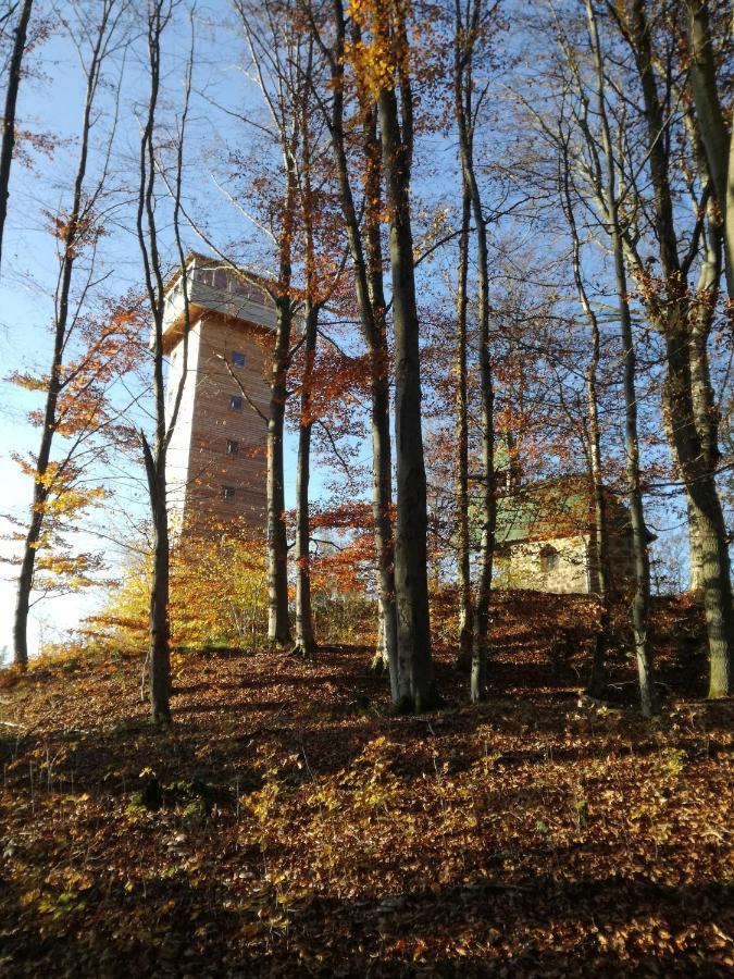 Gasthaus Zur Waldesruh Waffenbrunn Extérieur photo