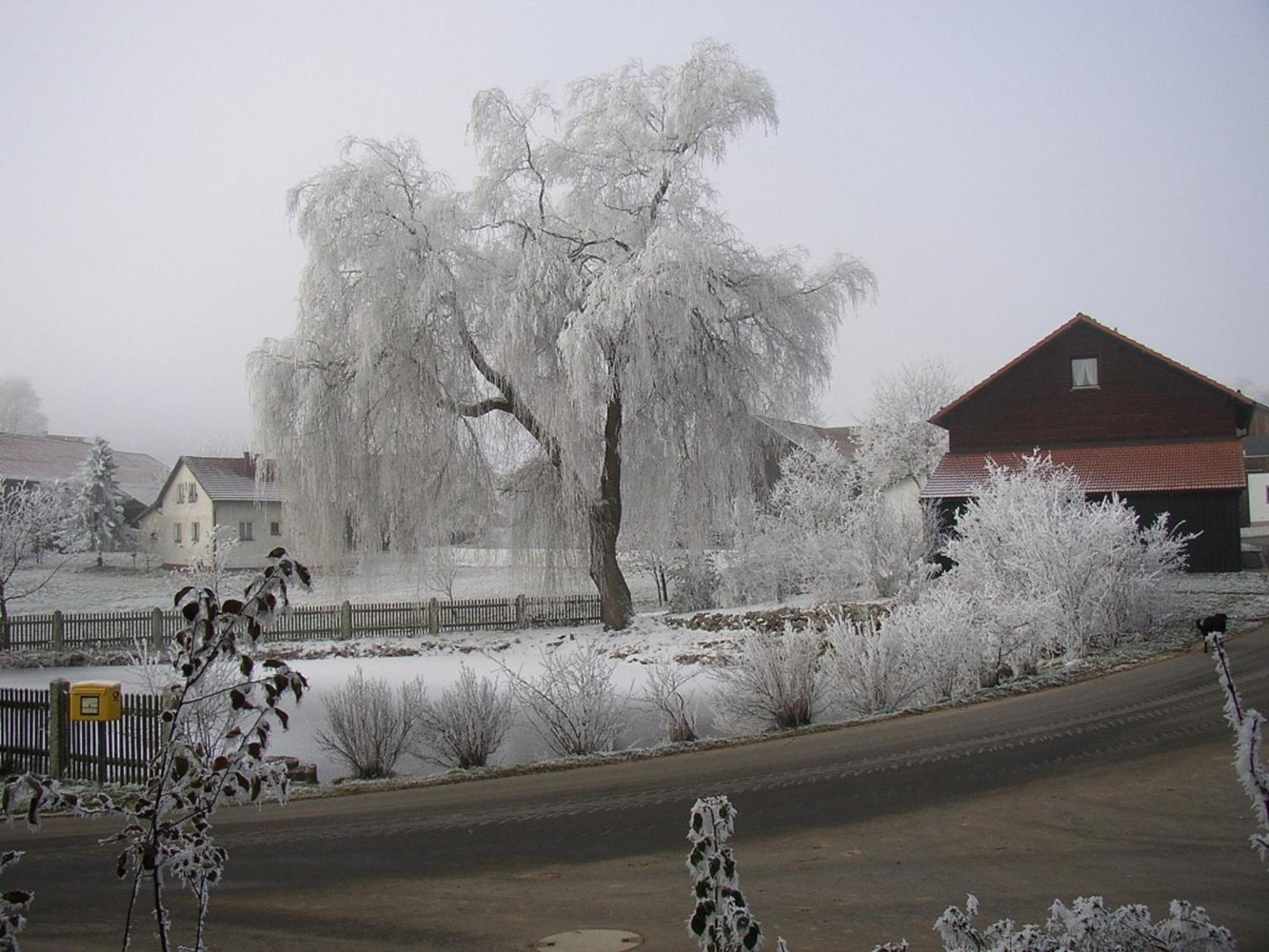 Gasthaus Zur Waldesruh Waffenbrunn Extérieur photo