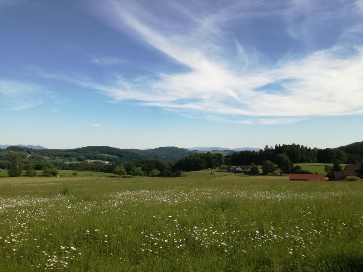 Gasthaus Zur Waldesruh Waffenbrunn Extérieur photo