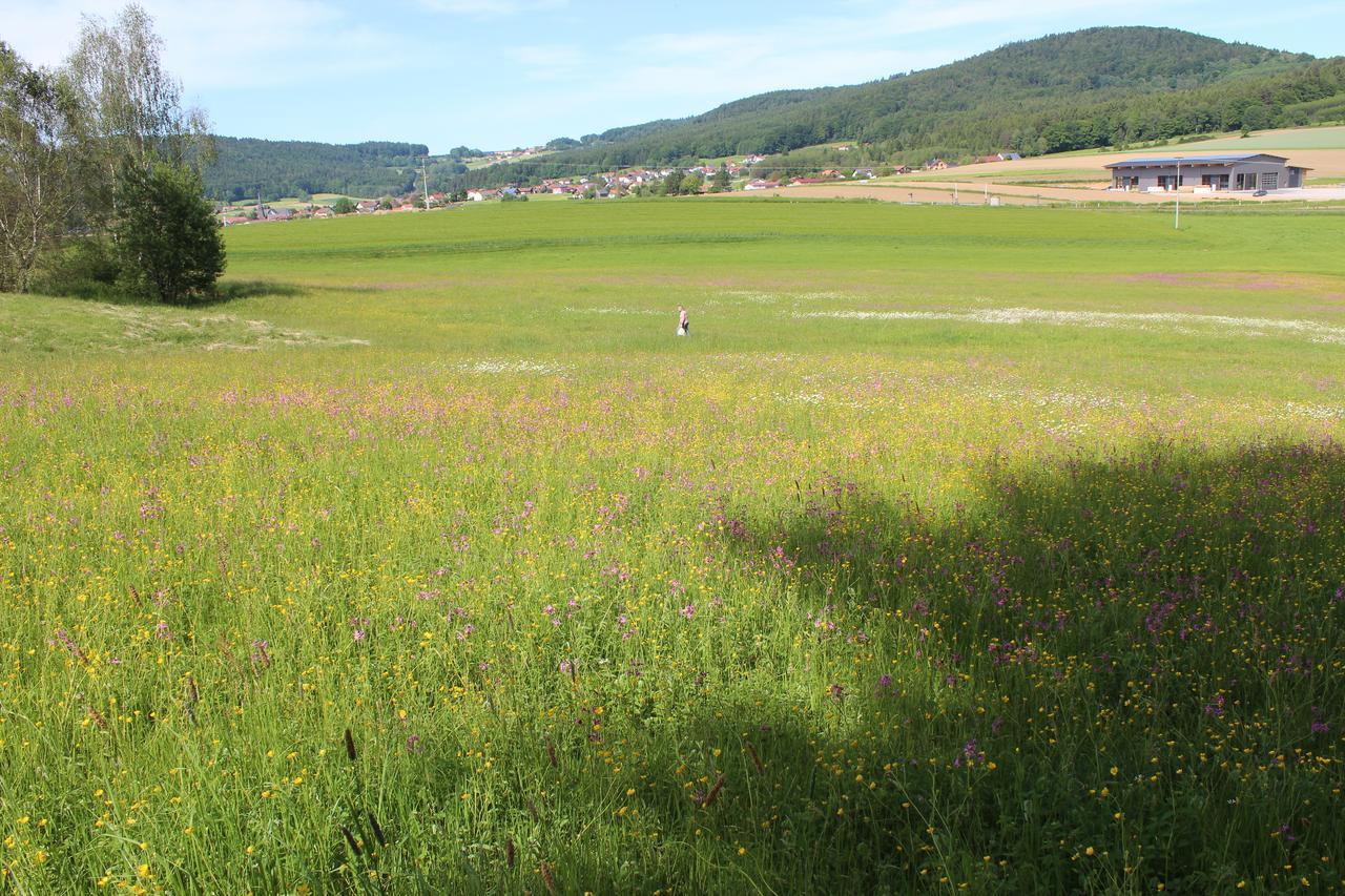 Gasthaus Zur Waldesruh Waffenbrunn Extérieur photo